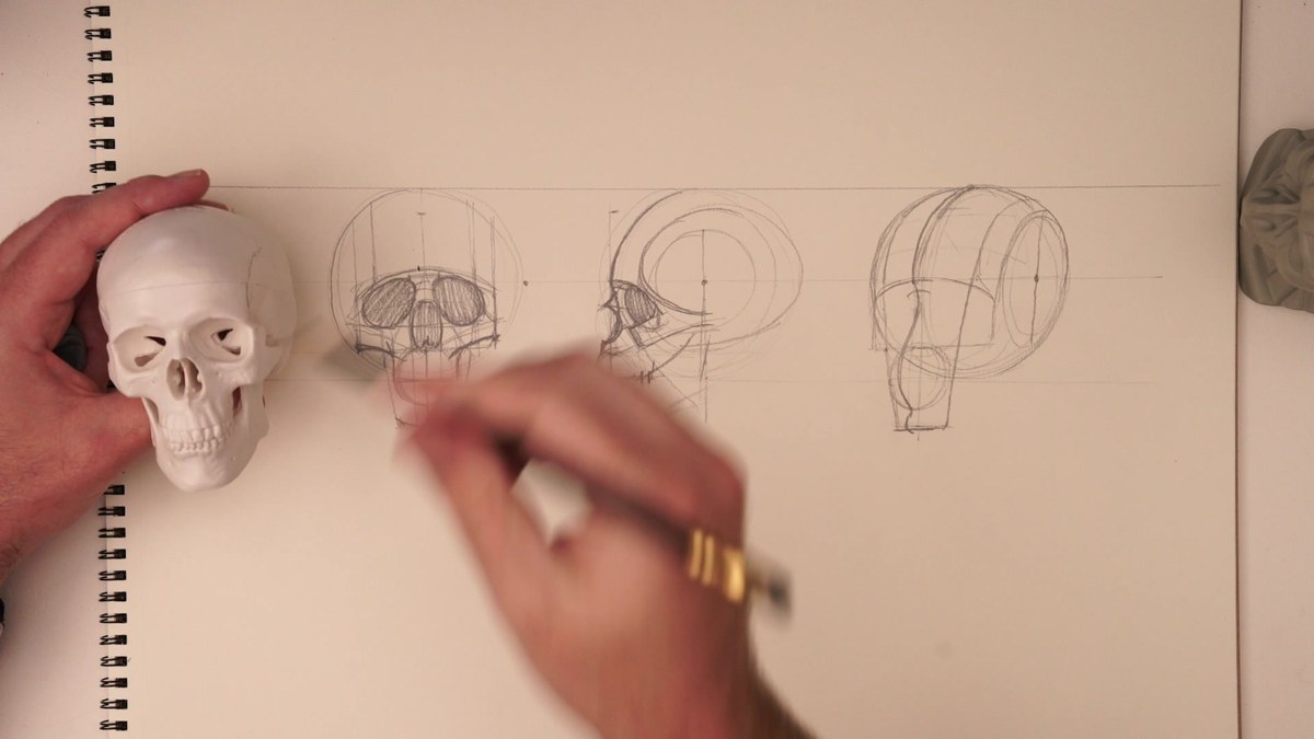 Skull accuracy demo: front, side, and three-quarter views drawn from the model