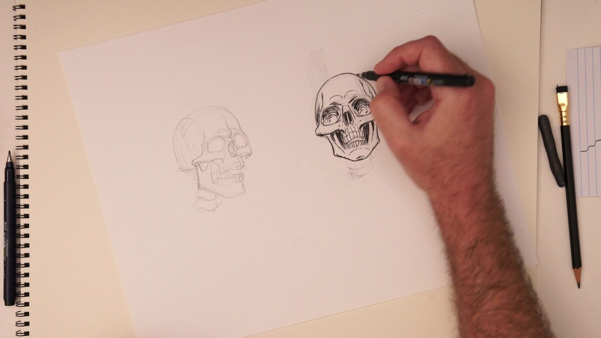 The skull style exercise: the same skull in pencil and ink