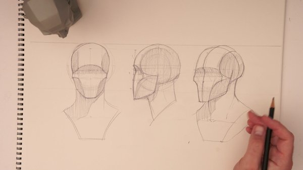 Module 2: Primary Forms of the Face