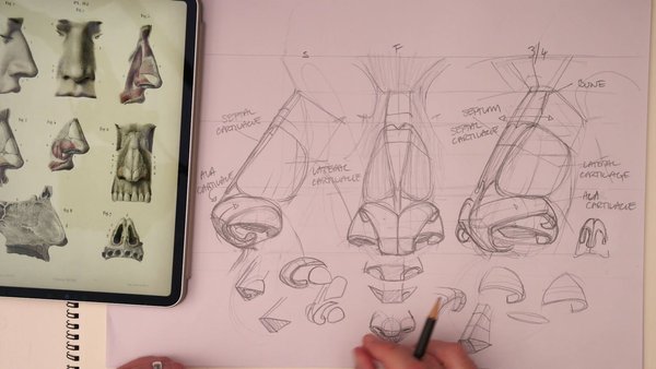 Module 4: The Nose