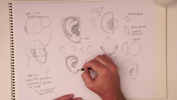 Module 6: The Ears