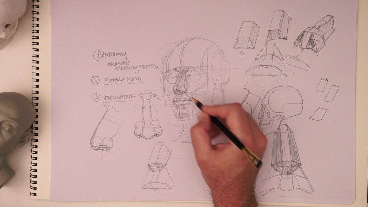 Study page: anatomy, primary form, application