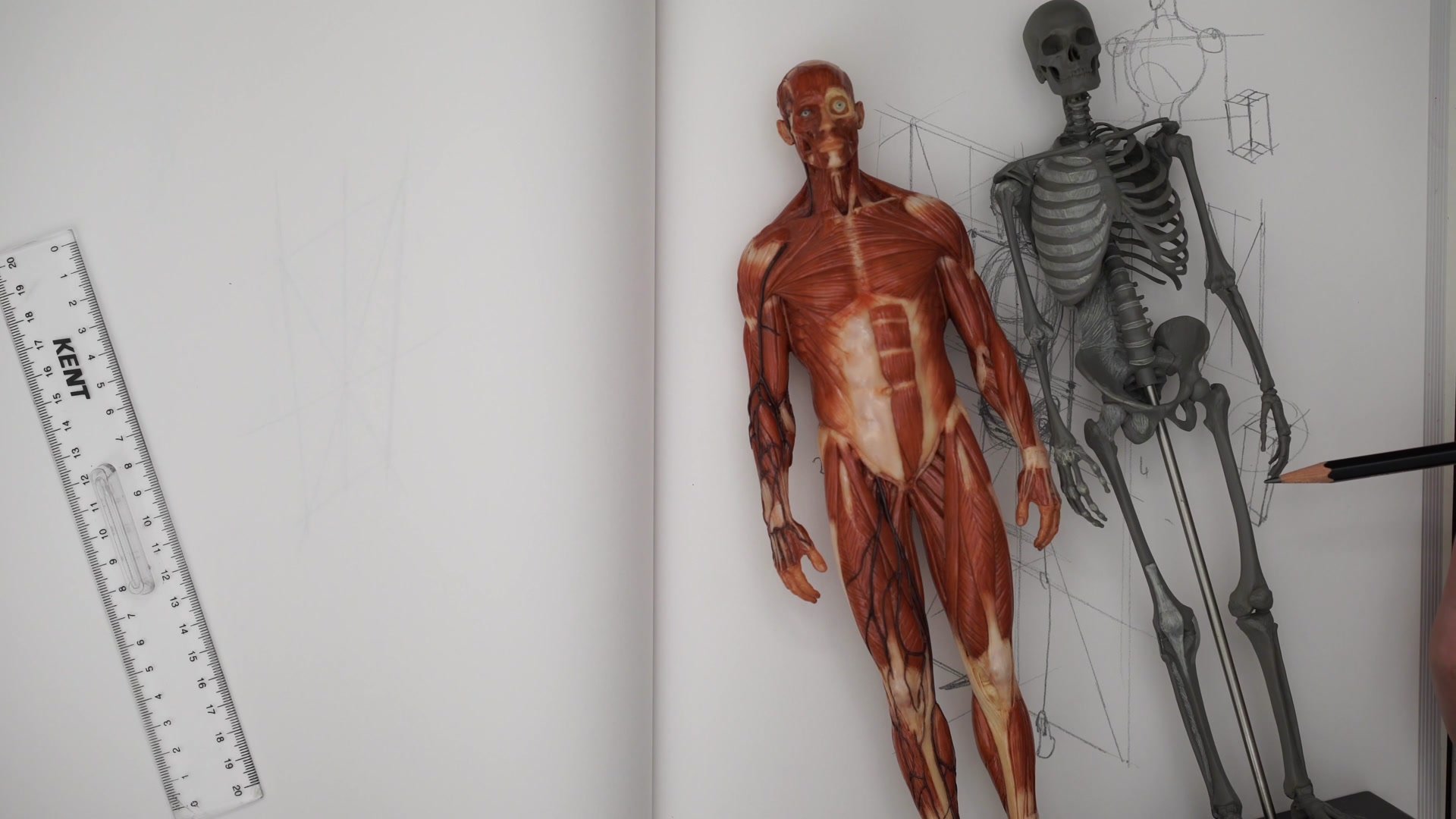 Screenshot at Unknown