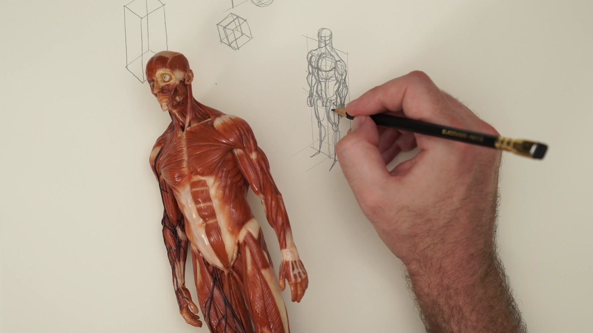 Screenshot at Unknown