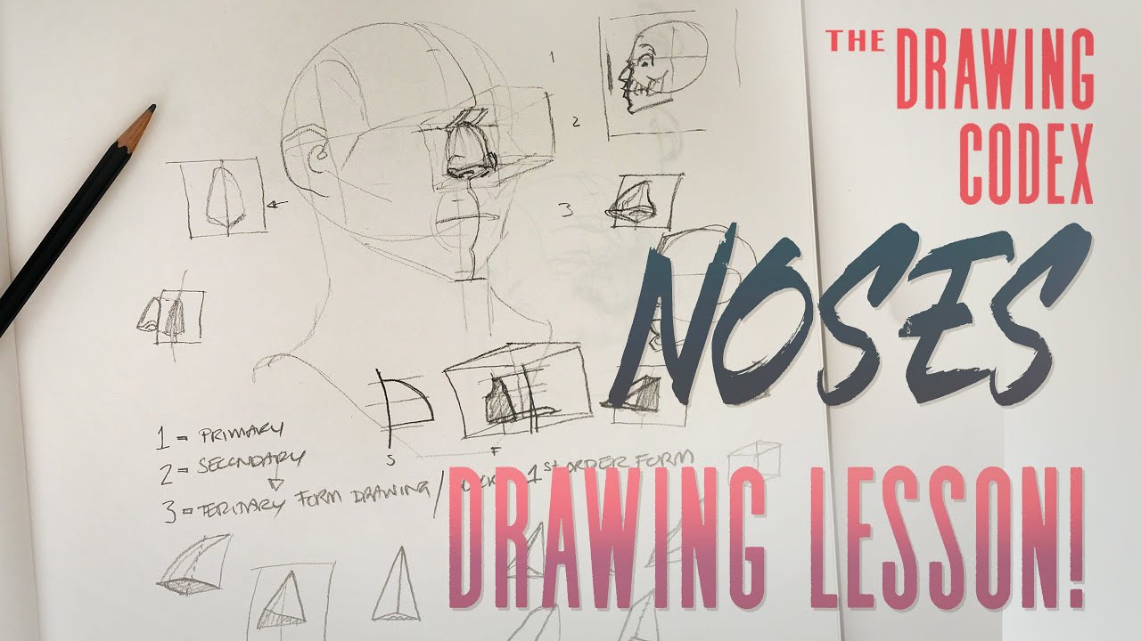 How To Draw Noses - Constructive Anatomy